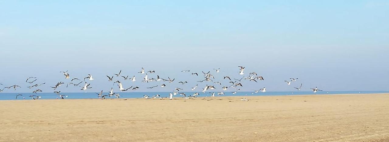 Apartamento En El Parque Natural Del Cabo De Gata Almería Eksteriør bilde